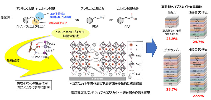 フェニルアラニンを添加剤に用いたペロブスカイト層界面の構造制御と高性能タンデム型ペロブスカイト太陽電池の開発