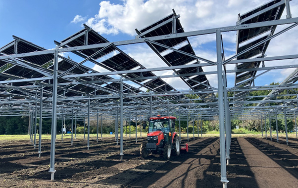 株式会社クボタ:国内最大級20MWの多拠点展開